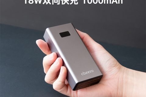 cheero Power Plus 5 10000mAh with Power Delivery 18W (Metallic)